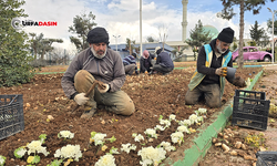 Eyyübiye'de Park, Bahçeler Bahara Hazırlanıyor