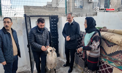 Eyyübiye’de Yardım Çalışmalarıyla Yüzlerce Aile Devletin Büyüklüğünü Hissediyor