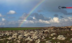 Şanlıurfa Viranşehir’de Yağmurun Ardından Gökkuşağının Görsel Şöleni