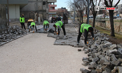 Haliliye’de Üstyapı Çalışmaları 6 Mahallede Aralıksız Devam Ediyor