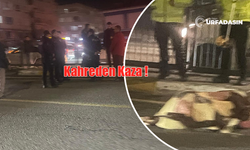 Şanlıurfa'da Yolun Karşısına Geçmeye Çalışan Kadın Canından Oldu