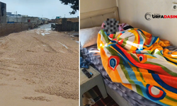 Şanlıurfa'da Kırsal Mahalledeki Yatalak Hastanın Yol Sorunu Çözüldü