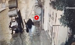 Şanlıurfa Birecik'te Hırsız 100 Bin Lirayla Birlikte Bir de Saz Çaldı!