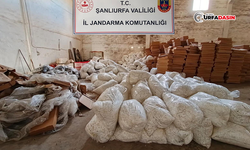 Şanlıurfa'da 14 Milyon Lira Değerinde Bandrolsüz Makaron Ele Geçirildi