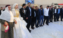 Şanlıurfa Viranşehir Kaymakamı Kemal Ülkü Halaya Durdu