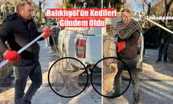 Balıklıgöl’deki Kedilerden Bazıları Tedavi Amaçlı Toplatıldı