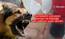 Şanlıurfa Viranşehir’de Kız Çocuğuna Köpekler Saldırdı
