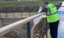 Viranşehir’de Larva ile Mücadele Erken Başladı