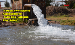 Şanlıurfa'da Kaçak Ekilen Mısır, Kaçak Elektrikle Sulanıyor