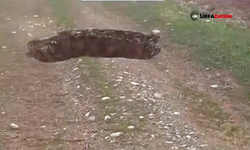 Şanlıurfa Hilvan'da Oluşan Obruk Korkuya Neden Oldu