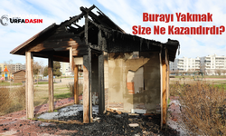 Şanlıurfa Viranşehir'de Millet Bahçesindeki Kamelyayı Ateşe Verdiler