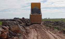 Aşağı Sarpın’da Stabilize Yol Çalışması: Başkan Serhat Dicle İnan Talimat Verdi