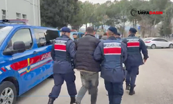 Şanlıurfa'da Tefecilik Yapan Suç Örgütüne Operasyon: Tutuklandılar