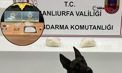 Şanlıurfa'da Polis ve Jandarmadan Zehir Tacirlerine Operasyon: 12 Tutuklama