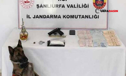 Şanlıurfa’da Zehir Taciri, Narkotik Madde ve Silahla Yakalandı