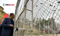 Şanlıurfa Valisi Şıldak: “Birecik, Dünyadaki Önemli Merkezlerden Biri”