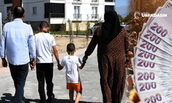 Vatandaşlık Maaşının Detayları Belli Oldu Kimler Faydalanacak Ne Kadar Olacak