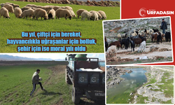 Şanlıurfa’da Yağışlar Yüzleri Güldürdü: Toprak Nefes Aldı, Umut Yeşerdi