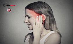 Şanlıurfa'da Yüzde Görülen "Delirten Hastalık"a Karşı Önemli Uyarı