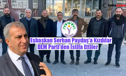 Şanlıurfa'da DEM Partili 7 Meclis Üyesi, Partisinden İstifa Etti