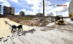 Eyyübiye'nin Yenice Mahallesinde Yeni Yollar Hizmete Kazandırılıyor