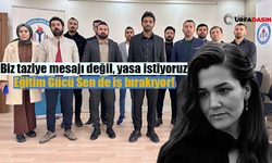 Eğitim Gücü Sen Şanlıurfa İl Başkanı Mustafa Kutlu: Biz Kınama Değil, Caydırıcı Yaptırım İstiyoruz