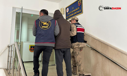 Şanlıurfa'da Hırsızlık Suçundan Hapis Cezası Bulunan Firari Yakalandı