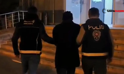 Şanlıurfa'da, 12 Yıldır Araması Bulunan Şahıs Yakalandı