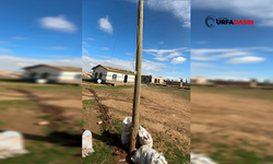 Şanlıurfa'da Ahşap Direği Oyup İçinden Kaçak Elektrik Hatı Çektiler