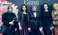 Şanlıurfa KADEM 8 Mart Dünya Kadınlar Günü Etkinliğinde Stant Açtı