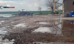 Şanlıurfa Akçakale Aşağıderen Köyündeki Altyapı Suriye'den Daha Kötü