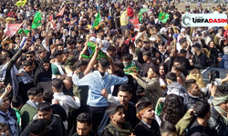Şanlıurfa Viranşehir'de Nevroz Coşkusu