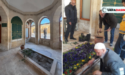 Bediüzzaman Said Nursi’nin Urfa'da İlk Defnedildiği Kabri Çiçeklerle Donatıldı