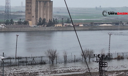 Şanlıurfa Akçakale Sınırındaki Mayınlı Saha Yağmur Sularıyla Gölete Dönüştü