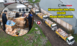 Şanlıurfa'da Tarihi Geçmiş 50 Ton Tavuğa El Konuldu: Kamyonlara Sığmadı