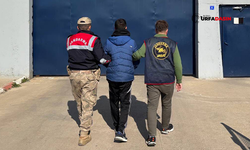 Şanlıurfa'da 14 Yıl Hapis Cezasıyla Aranan Suç Makinesini Jandarma Yakaladı