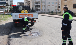 Şanlıurfa'da Sivrisinek ve Haşerelere Karşı Yıl Boyunca Yoğun Mesai
