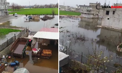 Şanlıurfa Birecik'te Vatandaşlar Eşit ve Adil Hizmet Talep Ediyor