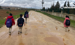 Suruç’ta Günebakan Köyü Şakir Şimşek Okulunun 1 Kilometrelik Yolu Çile Dolu