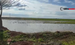 Suruç’ta Sağanak Yağışlarla Tarım Arazileri Sular Altında Kaldı