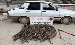 Şanlıurfa'da TİGEM Arazisinden Bakır Kablo Çalan Hırsız Yakalandı