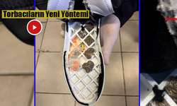 Şanlıurfa'da Böylesi İlk Kez Tespit Edilip Yakalandı