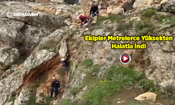 Şanlıurfa'da Uçurumdan Düşen Köpek, 4 Saatlik Çalışmayla Kurtarıldı