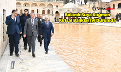 Şanlıurfa Valisi Şıldak, Selden Etkilenen Balıklıgöl'ün Son Durumunu Yerinde Gördü