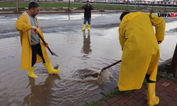 Şanlıurfa Viranşehir'de İşçilerin Yağmur Mesaisi
