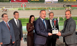 Atlar Bu Kez Harran Üniversitesi İçin Koştu