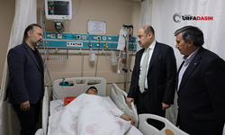 Başkan Gülpınar’dan Okul Saldırısında Yaralanan Öğrencilere Ziyaret