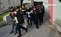 Şanlıurfa'dan Gözaltıların Olduğu Bayğaralar Suç Örgütü Şüphelileri Adliyede