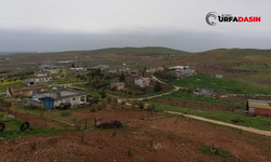 Şanlıurfa'da İki Mahalle Sit Alanı İlan Edildi