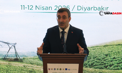 Cumhurbaşkanı Yardımcısı Cevdet Yılmaz: GAP'ta Verimliliği Artırdık